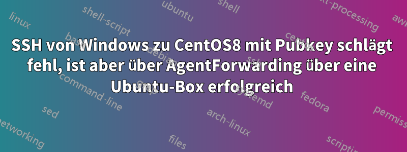 SSH von Windows zu CentOS8 mit Pubkey schlägt fehl, ist aber über AgentForwarding über eine Ubuntu-Box erfolgreich