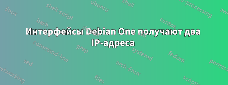 Интерфейсы Debian One получают два IP-адреса