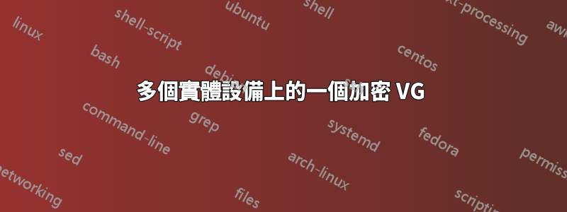 多個實體設備上的一個加密 VG