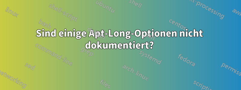 Sind einige Apt-Long-Optionen nicht dokumentiert?