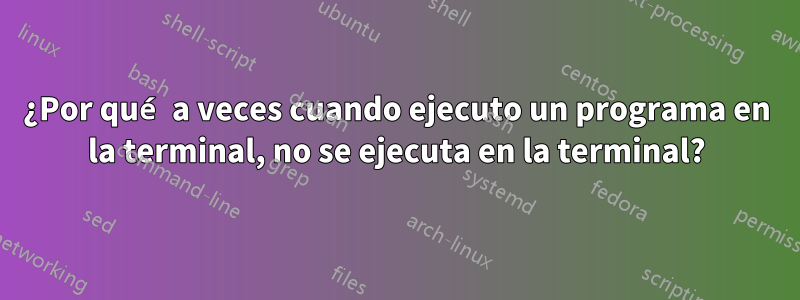 ¿Por qué a veces cuando ejecuto un programa en la terminal, no se ejecuta en la terminal?