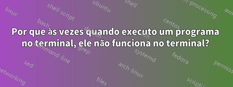 Por que às vezes quando executo um programa no terminal, ele não funciona no terminal?