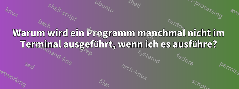 Warum wird ein Programm manchmal nicht im Terminal ausgeführt, wenn ich es ausführe?