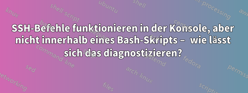 SSH-Befehle funktionieren in der Konsole, aber nicht innerhalb eines Bash-Skripts – wie lässt sich das diagnostizieren?