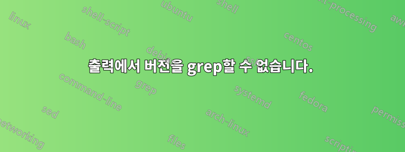 출력에서 버전을 grep할 수 없습니다.