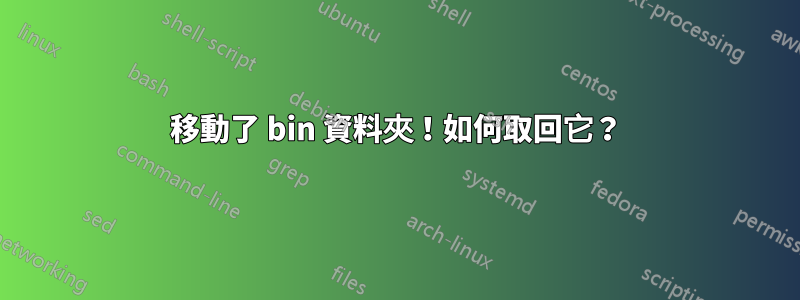 移動了 bin 資料夾！如何取回它？