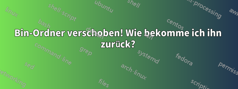 Bin-Ordner verschoben! Wie bekomme ich ihn zurück?
