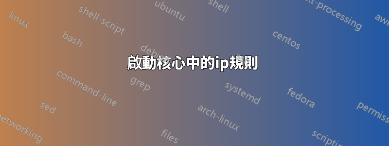 啟動核心中的ip規則
