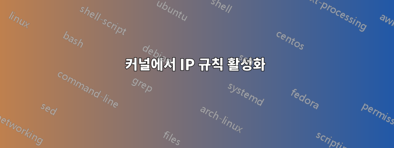 커널에서 IP 규칙 활성화