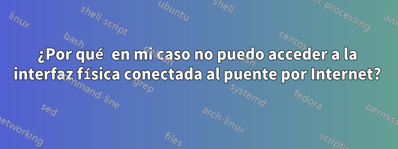 ¿Por qué en mi caso no puedo acceder a la interfaz física conectada al puente por Internet?