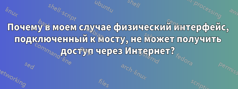 Почему в моем случае физический интерфейс, подключенный к мосту, не может получить доступ через Интернет?