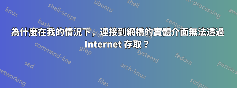 為什麼在我的情況下，連接到網橋的實體介面無法透過 Internet 存取？