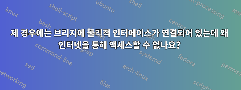 제 경우에는 브리지에 물리적 인터페이스가 연결되어 있는데 왜 인터넷을 통해 액세스할 수 없나요?