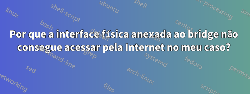 Por que a interface física anexada ao bridge não consegue acessar pela Internet no meu caso?