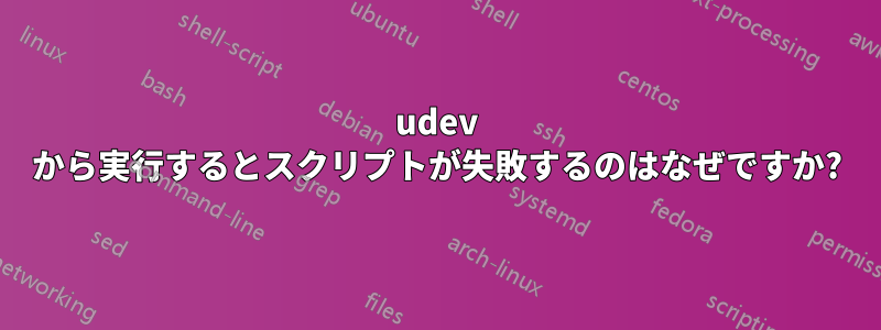 udev から実行するとスクリプトが失敗するのはなぜですか?