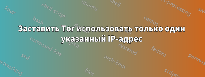 Заставить Tor использовать только один указанный IP-адрес