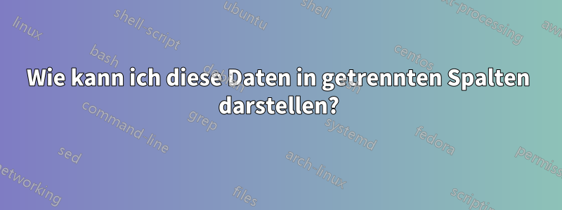 Wie kann ich diese Daten in getrennten Spalten darstellen?