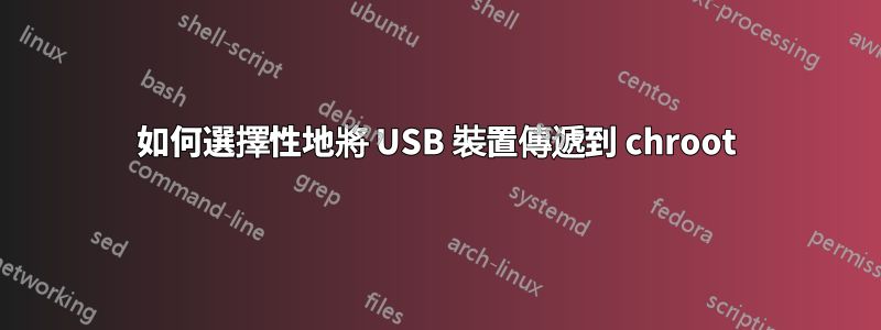 如何選擇性地將 USB 裝置傳遞到 chroot