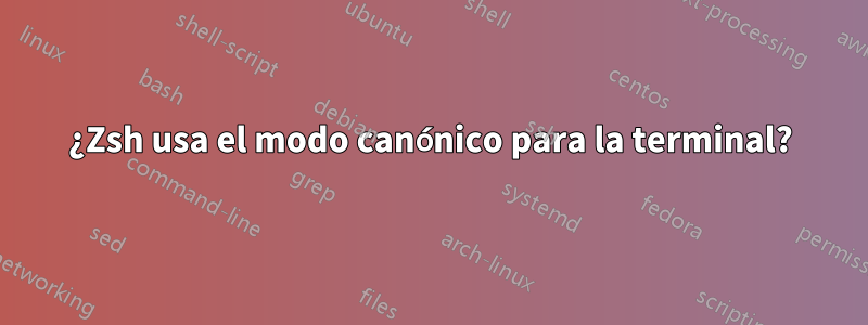 ¿Zsh usa el modo canónico para la terminal?