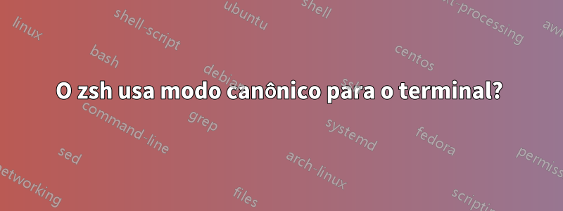 O zsh usa modo canônico para o terminal?