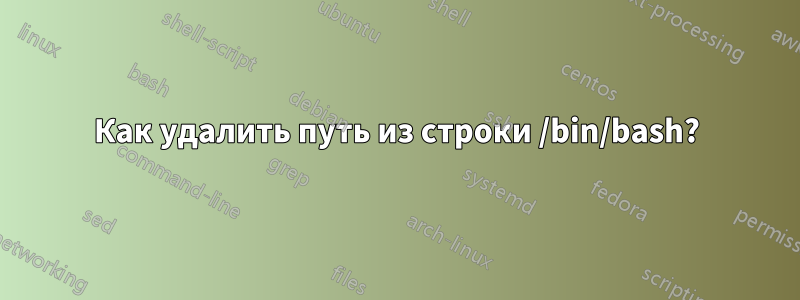 Как удалить путь из строки /bin/bash?