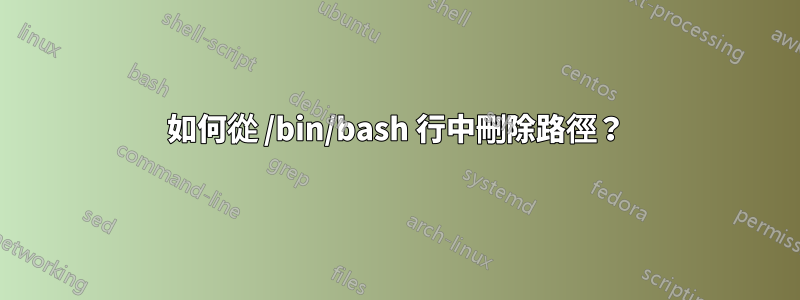 如何從 /bin/bash 行中刪除路徑？