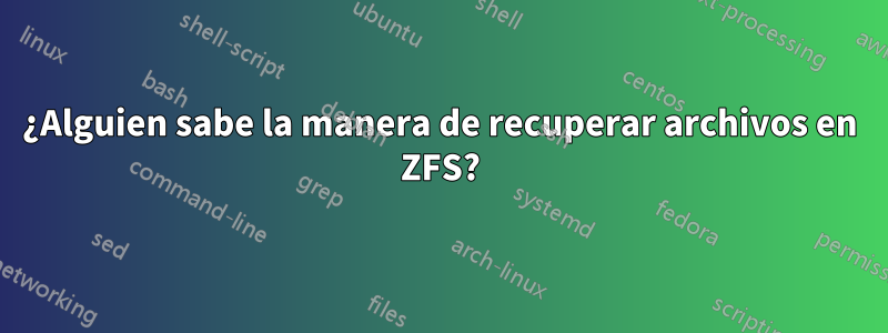 ¿Alguien sabe la manera de recuperar archivos en ZFS?
