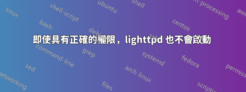 即使具有正確的權限，lighttpd 也不會啟動