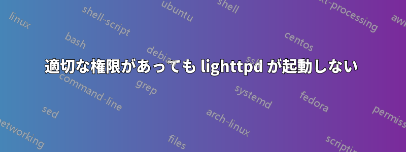 適切な権限があっても lighttpd が起動しない