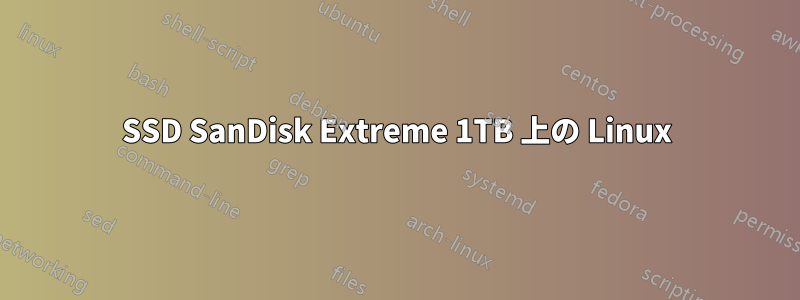 SSD SanDisk Extreme 1TB 上の Linux