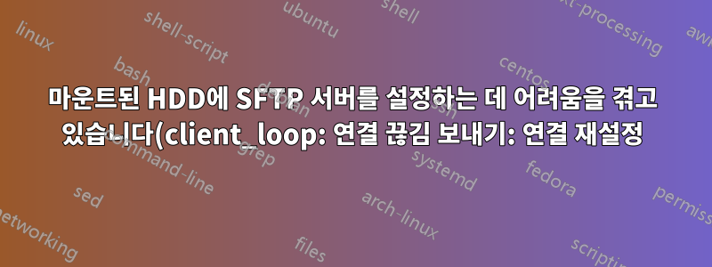 마운트된 HDD에 SFTP 서버를 설정하는 데 어려움을 겪고 있습니다(client_loop: 연결 끊김 보내기: 연결 재설정).