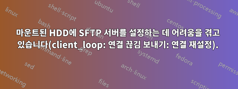 마운트된 HDD에 SFTP 서버를 설정하는 데 어려움을 겪고 있습니다(client_loop: 연결 끊김 보내기: 연결 재설정).