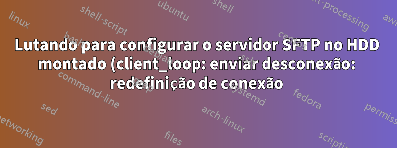 Lutando para configurar o servidor SFTP no HDD montado (client_loop: enviar desconexão: redefinição de conexão)