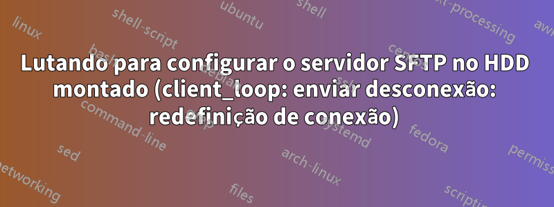 Lutando para configurar o servidor SFTP no HDD montado (client_loop: enviar desconexão: redefinição de conexão)