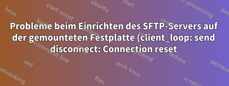 Probleme beim Einrichten des SFTP-Servers auf der gemounteten Festplatte (client_loop: send disconnect: Connection reset)