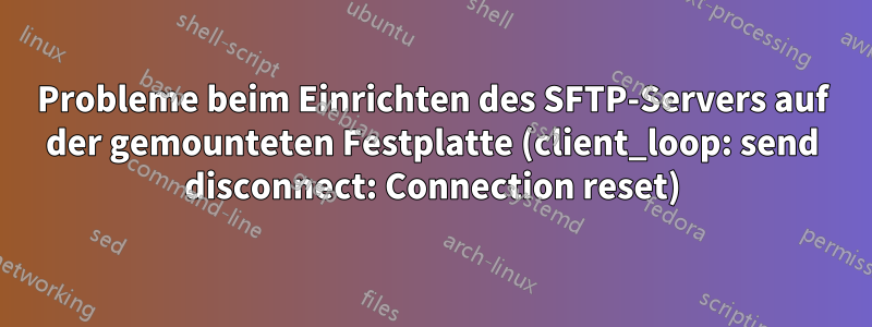 Probleme beim Einrichten des SFTP-Servers auf der gemounteten Festplatte (client_loop: send disconnect: Connection reset)