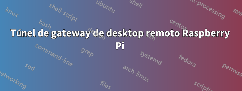 Túnel de gateway de desktop remoto Raspberry Pi