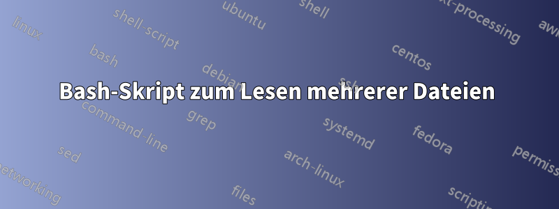 Bash-Skript zum Lesen mehrerer Dateien