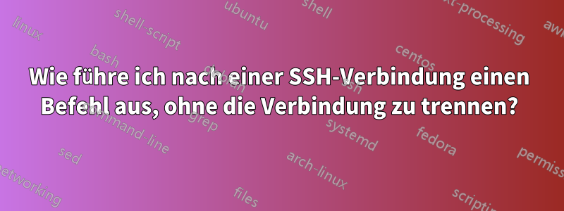 Wie führe ich nach einer SSH-Verbindung einen Befehl aus, ohne die Verbindung zu trennen?