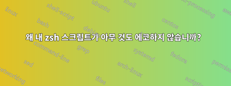 왜 내 zsh 스크립트가 아무 것도 에코하지 않습니까?