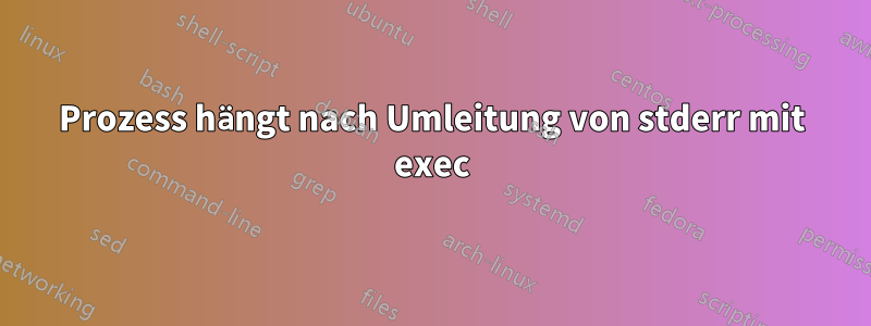 Prozess hängt nach Umleitung von stderr mit exec