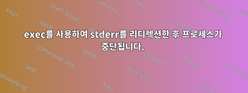 exec를 사용하여 stderr를 리디렉션한 후 프로세스가 중단됩니다.