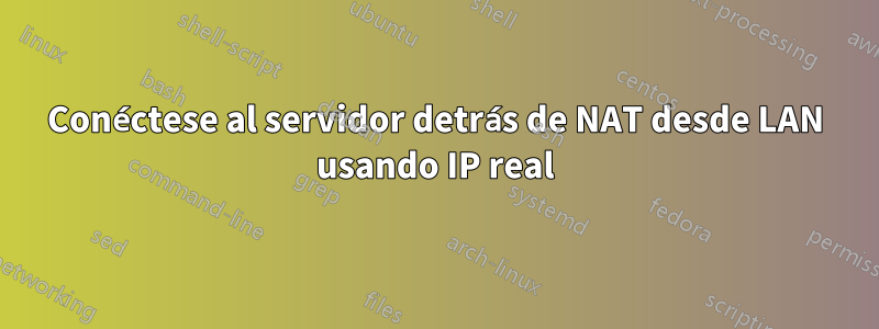 Conéctese al servidor detrás de NAT desde LAN usando IP real