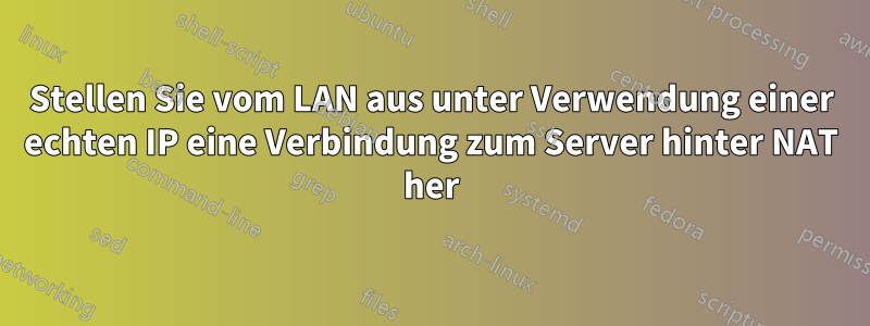 Stellen Sie vom LAN aus unter Verwendung einer echten IP eine Verbindung zum Server hinter NAT her