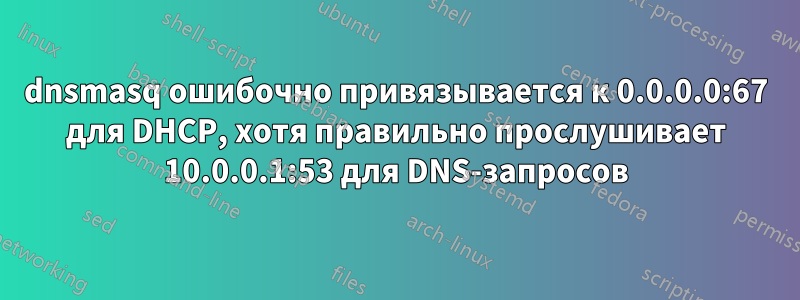 dnsmasq ошибочно привязывается к 0.0.0.0:67 для DHCP, хотя правильно прослушивает 10.0.0.1:53 для DNS-запросов