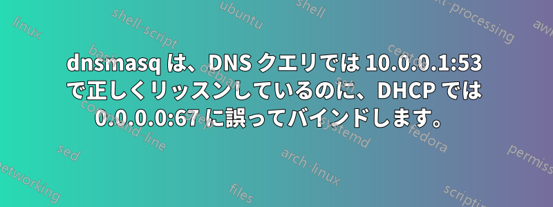dnsmasq は、DNS クエリでは 10.0.0.1:53 で正しくリッスンしているのに、DHCP では 0.0.0.0:67 に誤ってバインドします。