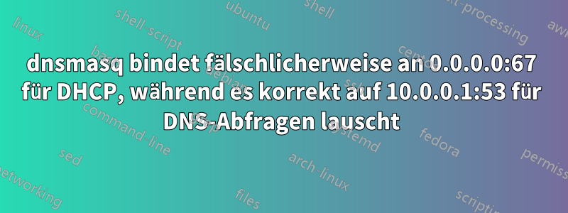 dnsmasq bindet fälschlicherweise an 0.0.0.0:67 für DHCP, während es korrekt auf 10.0.0.1:53 für DNS-Abfragen lauscht
