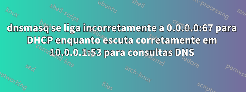 dnsmasq se liga incorretamente a 0.0.0.0:67 para DHCP enquanto escuta corretamente em 10.0.0.1:53 para consultas DNS