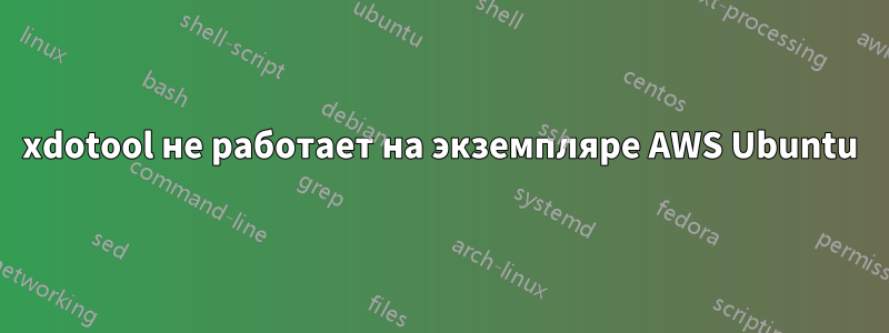 xdotool не работает на экземпляре AWS Ubuntu