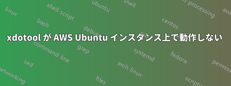 xdotool が AWS Ubuntu インスタンス上で動作しない